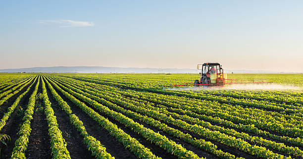 Farmers working in field